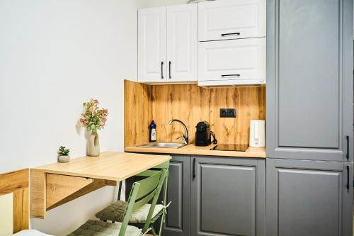 Η κουζίνα ή μικρή κουζίνα στο Chisinau Airport Zone Studio Cozy & Connected