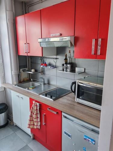 une cuisine avec des armoires rouges et un évier dans l'établissement Cozy Apartment Montrouge Paris, à Montrouge
