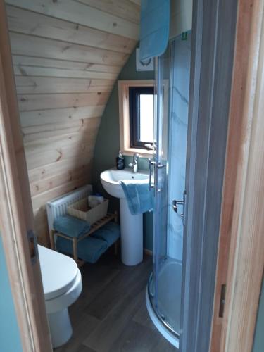Un baño de SeaView Wild Atlantic Pod