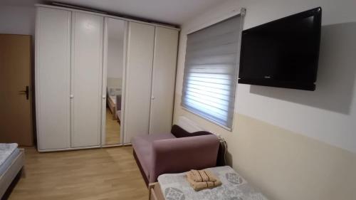 TV a/nebo společenská místnost v ubytování Apartman Banja Strelište Čedin konak