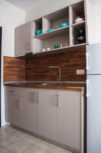 a kitchen with a sink and a white refrigerator at Ble Studios in Nikiti
