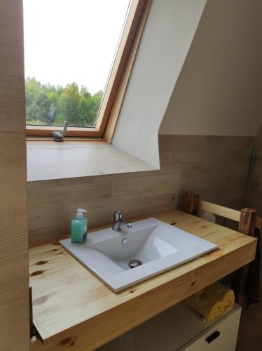 a bathroom with a sink under a window at Szewilla in Szewnia