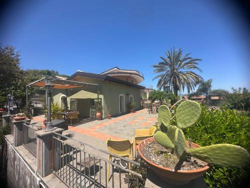 a house with a fence and a patio with a cactus at Casa Verde Ulivo in Montargano