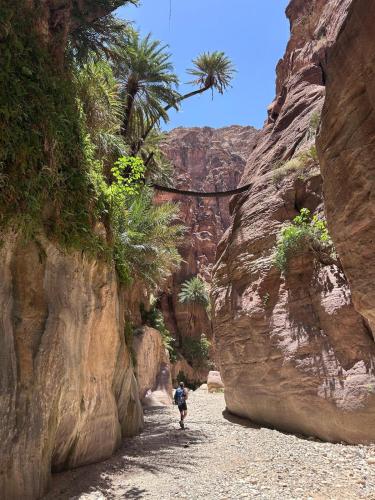 a person walking through a canyon with palm trees at Dana Village experience hotel in Dana