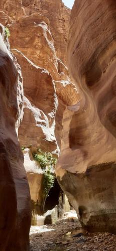 a view of a canyon with rocks in the desert at Dana Village experience hotel in Dana