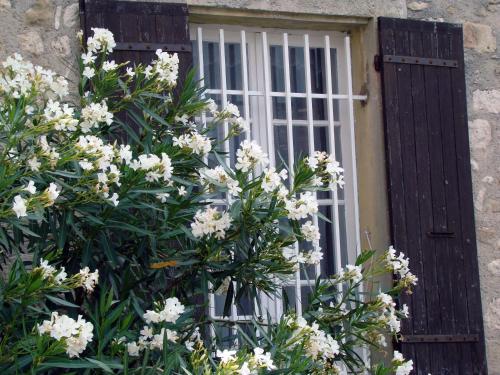 a window with white flowers in front of it at Villa Spacieuse au Calme Absolu avec Grande Piscine Jacuzzi Chauffé - Grand Jardin Sans Vis a vis- Salle de Jeux avec Fresque du Nougat - Ideal Familles et Groupes Drome Provencale in Montélimar