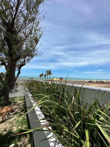 a view of the beach with a dog on the beach at Villa Carlotta Praia Uruaú 5 camere da letto in Beberibe