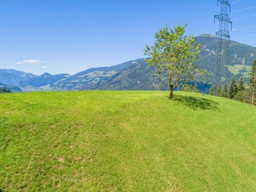 a tree sitting on top of a green hill at Wieshof in Kaltenbach