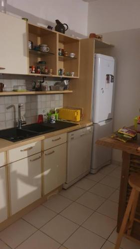 une cuisine avec un réfrigérateur blanc et un évier dans l'établissement L'Opale - Chez L'habitant, à Château-du-Loir