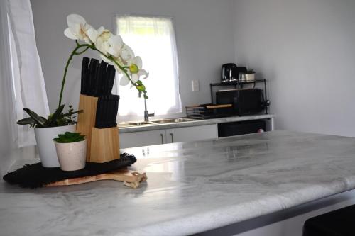 a kitchen counter with a vase of flowers on it at VillaAmor in Arorangi
