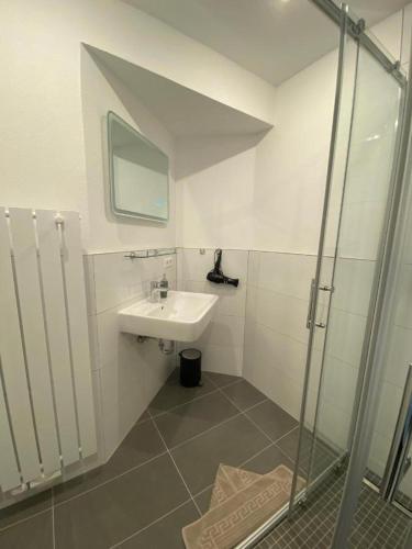 a bathroom with a sink and a shower at Ferien & Business Apartments Hohenfels in Hohenfels