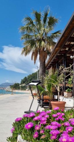 une table et des fleurs devant un palmier dans l'établissement Hotel Gala Split, à Podstrana