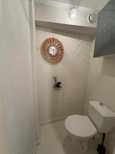 a bathroom with a toilet and a mirror at "Le Dix", emplacement exceptionnel, parking inclus in Montauban
