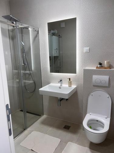 a bathroom with a toilet and a sink and a shower at Adena in Bjelašnica