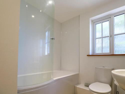 a white bathroom with a toilet and a sink at The Baler House in Hayle