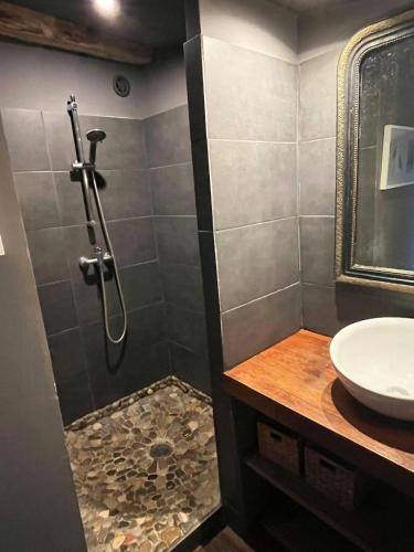 une salle de bain avec douche et lavabo dans l'établissement Charming Apartment In The Heart Of Drôme Provence, à Puy-Saint-Martin