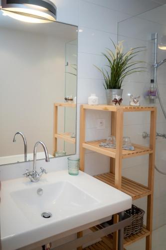 une salle de bain avec un lavabo et un miroir dans l'établissement La Ferme des Andes, à Quins