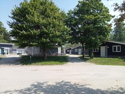 two trees in a parking lot in front of houses at Domstad Resort Utrecht Vakantiewoningen in Utrecht
