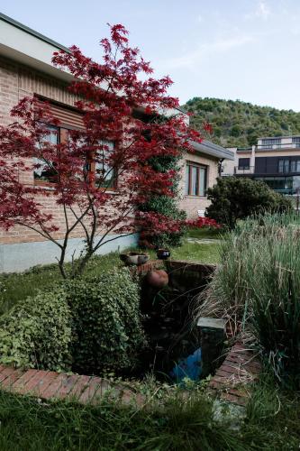 a garden with a pond in front of a house at La Cinciallegra in Val Della Torre