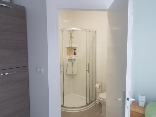 une salle de bain avec douche et toilettes dans l'établissement 1A studio à neuf Tout équipé, à Tourcoing