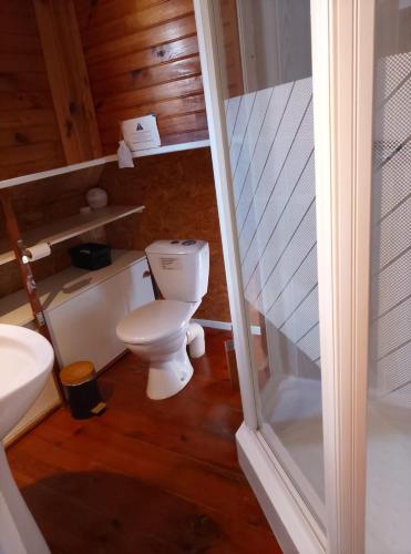 a bathroom with a toilet and a sink at PENICHE FARNIENTE CLIMATISEE - Aux Portes de la Camargue in Bellegarde