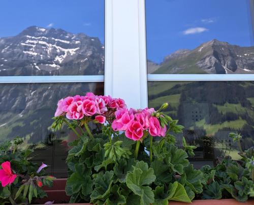 a pot of pink flowers in front of a window at Sonnen-Panorama in Adelboden