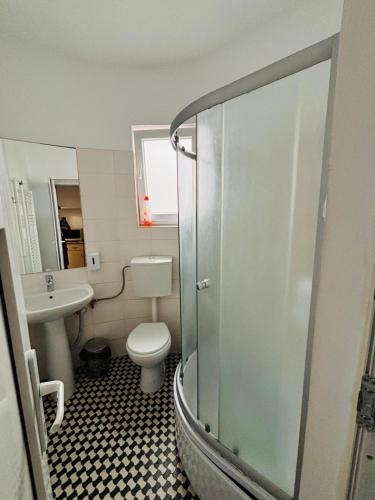 a bathroom with a shower and a toilet and a sink at Iancu Apartments in Bucharest