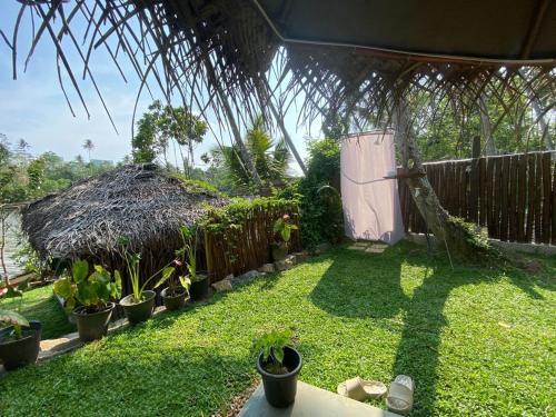 a yard with potted plants and a fence at Chillbox in Weligama