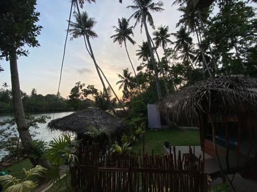 a garden with palm trees and a body of water at Chillbox in Weligama