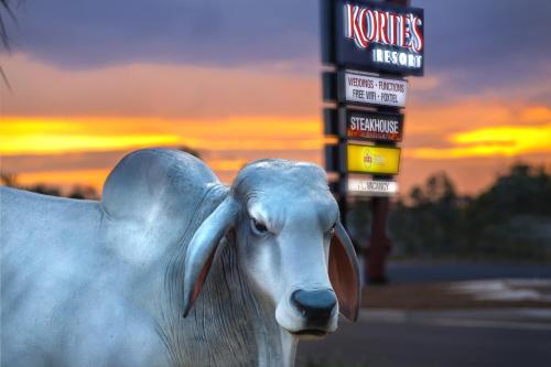 a white cow standing next to a street sign at Korte's Resort in Rockhampton