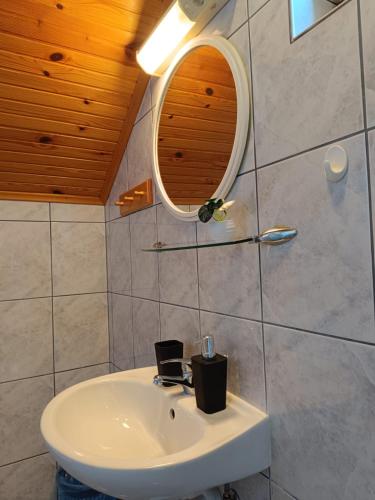 a bathroom with a white sink and a mirror at Guesthouse Mirko Hodak in Seliste Dreznicko