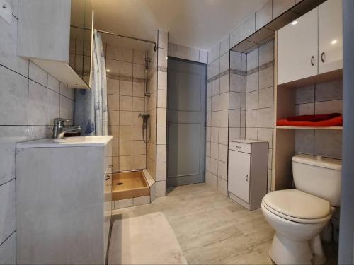 ein Badezimmer mit Toilette, Waschbecken und Dusche in der Unterkunft Maison de village au pied de la montagne in Lumbin