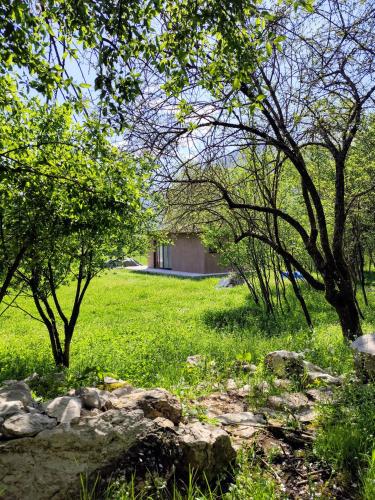 a field of grass with trees and a building in the background at Hidden Valley Cabin in Risan