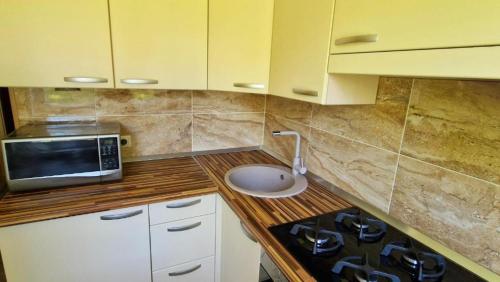 a kitchen with a counter top with a microwave at Apartments next to Acropolis, self check inn in Klaipėda