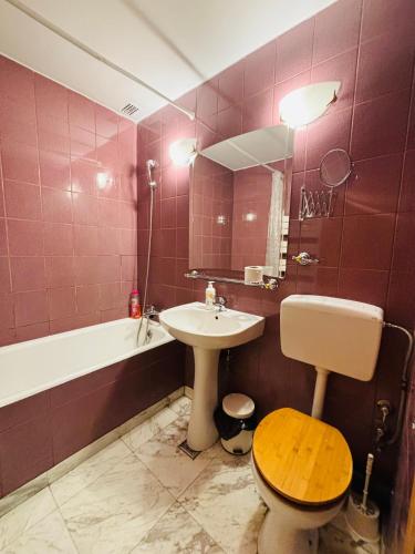 a bathroom with a sink and a toilet and a mirror at Floreasca apartment in Bucharest