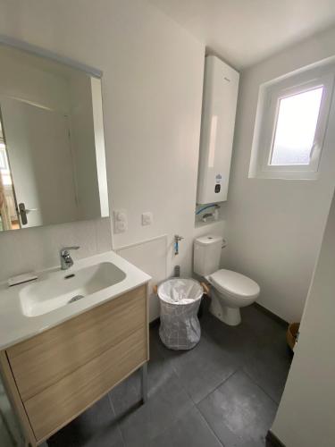 une salle de bain avec un lavabo et des toilettes dans l'établissement Juvanedi, à Rouen