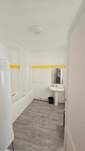 une salle de bain avec une baignoire, un lavabo et un miroir dans l'établissement Le Jardin Cafe, à Bordeaux