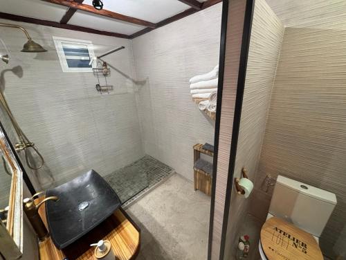 a bathroom with a shower with a sink and a toilet at Villa Pétrel in Saint-Paul