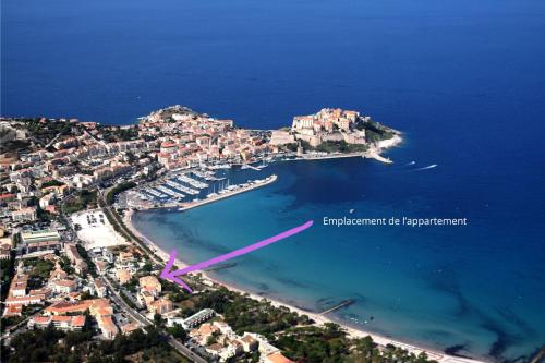 une vue aérienne d'une île dans l'océan dans l'établissement Logement pieds dans l'eau avec vue mer exceptionnelle, à Calvi