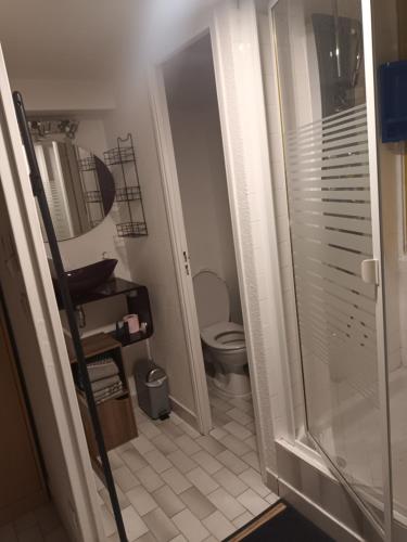 La salle de bains est pourvue de toilettes et d'une douche à l'italienne. dans l'établissement Village Naturiste, Cap d'Agde Port Nature 522, au Cap d'Agde