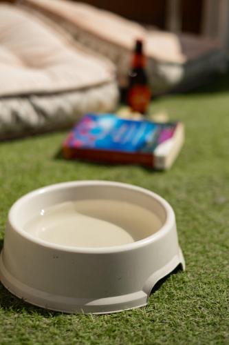 a white bowl sitting on top of the grass at encantador apto en la playa in Comarruga