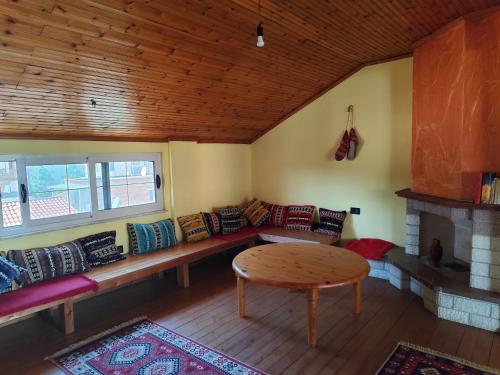 a room with couches and a table and a fireplace at Hostel Albania Villa in Tirana