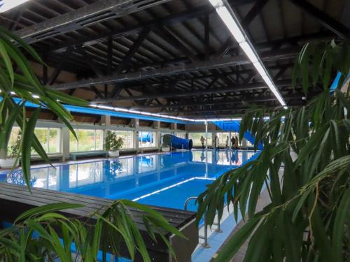a large swimming pool with blue water and a palm tree at Zeeland cosy duplex appartment in Summio Parc Aquadelta resort in Bruinisse