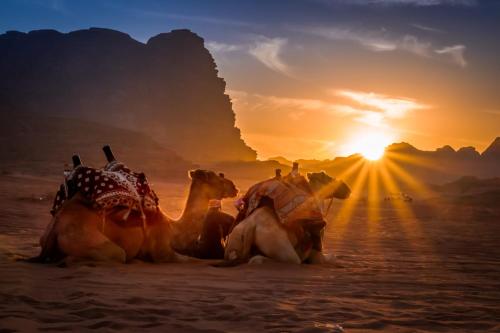 Fotografie z fotogalerie ubytování Bubble desert wadi rum v destinaci Wadi Musa