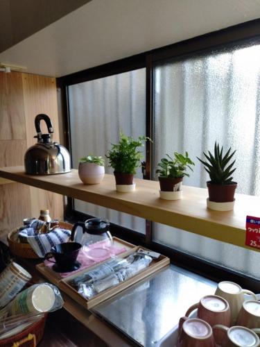 a kitchen with shelves with potted plants on them at itoshima 個性的な日本家屋 in Itoshima