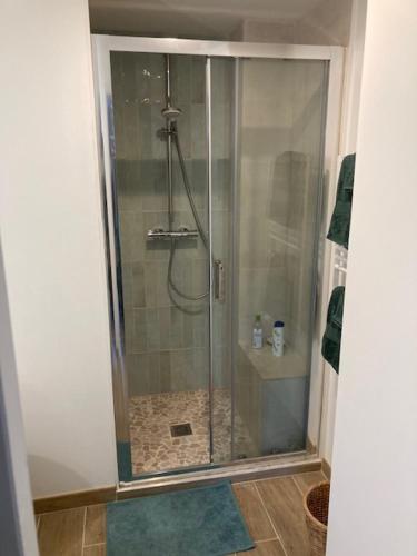 une douche avec une porte vitrée dans une salle de bain dans l'établissement Studio Cosy St Martin Uriage, à Saint-Martin-d'Uriage