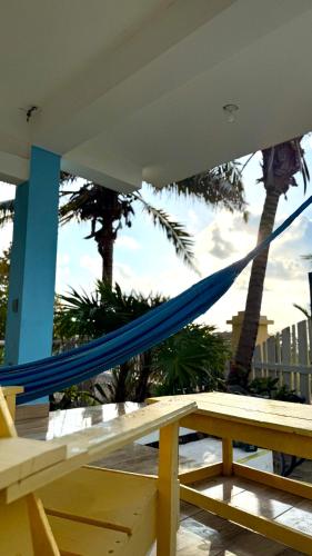 Fotografie z fotogalerie ubytování The Novelo v destinaci Caye Caulker