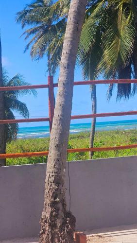 a palm tree with a view of the beach at Chalés Mediterraneo in Flecheiras