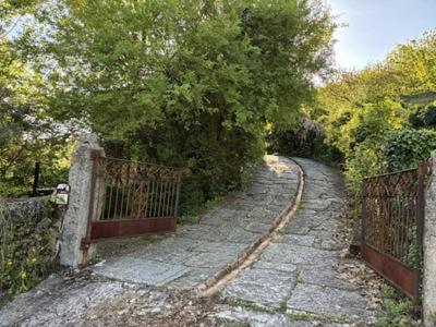 a stone path with a gate and trees on it at CASA RURAL EL RONDILLO in Navaconcejo