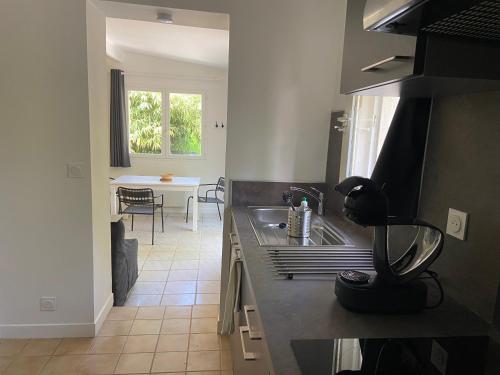 une cuisine avec un évier et un plan de travail dans l'établissement Le Moulin de Vaugien, à Saint-Rémy-lès-Chevreuse